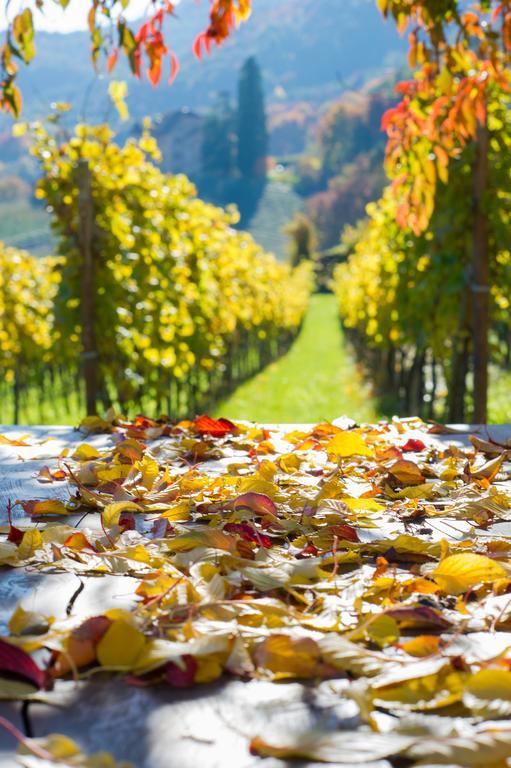 Weingut Wolkanhof Appiano Sulla Strada Del Vino Exterior photo